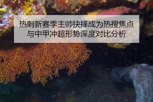 热刺新赛季主帅抉择成为热搜焦点 与中甲冲超形势深度对比分析